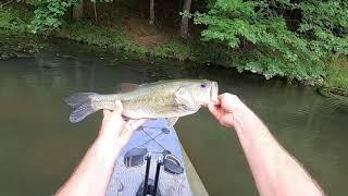 Urbana lake fish management