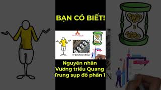 #shorts Vì sao vương triều Quang Trung sụp đổ phần 1?