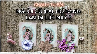 ☎️NGƯỜI YÊU CŨ(EX), HỌ ĐANG LÀM GÌ LÚC NÀY? 👀Kitoàn Tarot Channel