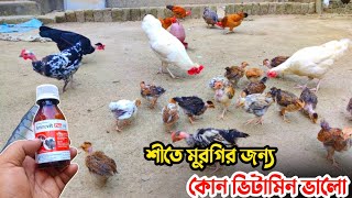 শীতে মুরগির জন্য কোন ভিটামিন ভালো || শীতে মুরগির ভিটামিন || Nur Bhai