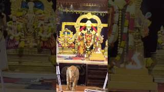 Venkateshwara swamy kalyanam 🙏 swarnagiri Part-1#swarnagiri#viral_video#lord#subscribe#share#shorts