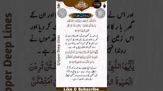 Surah e Al-Ahzab Ayat No 27.28سُورۃ الاحزاب  آیت نمبر 27.28#shorts #shortsvideo #short #islamic