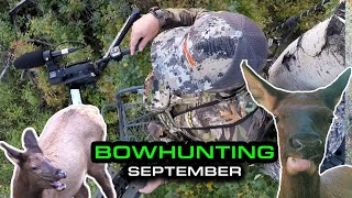 BOWHUNTING- Getting Close to 'em!