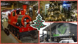 KERSTSHOPTRIP / KERSTSHOW IN GROENRIJK