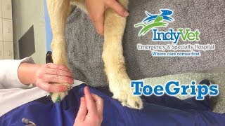 ToeGrips