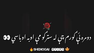 pashto black screen poetry status||pashto poetry Whatsapp status #viralstatus #pashtopoetrylines