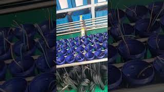 Liquid level float switch production line