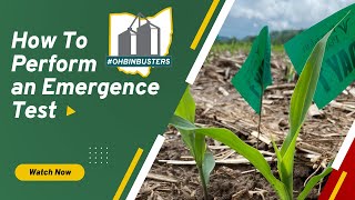 How to Perform an Emergence Test