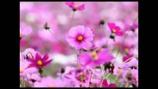 Andain - Beautiful Things (Chris Wonderful Chillout Mix)