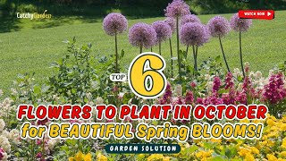 TOP 6 FLOWERS to PLANT in October for BEAUTIFUL Spring BLOOMS! 🌷 🌸 HURRY! 🌼