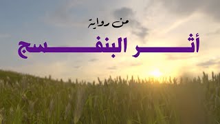 كلمات من رواية أثر البنفسج - الكاتبة أمل عيد