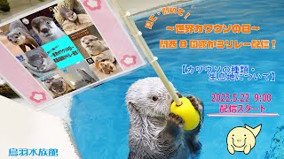 見て！聞いて！～世界カワウソの日～関西８園館からリレー配信！①「カワウソの種類・生息地について＠鳥羽水族館」