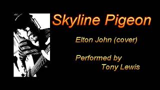 Skyline Pigeon (cover)