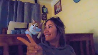 Australia | KITTY |  Daily Vlog 204# | ByIri.