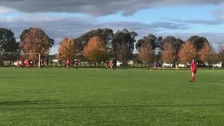 Insane Soccer Free Kick Goal #soccergoals