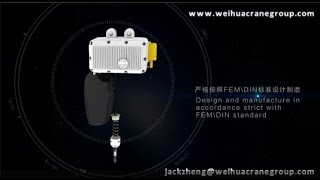 Electric Chain Hoist/lifting hoist -WeiHua Group/WH GROUP