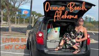 Orange Beach, Alabama | Living in My Car 🍊🏖