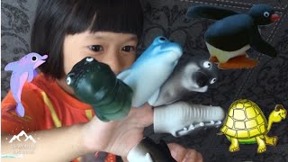 Animals Finger Family song for kids