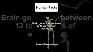 Human Facts.....#shorts #psychology #psychologyfacts #subscribe