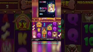 выбил бонуску за 8к в собаках#casinogames #casino #jackpot #slotmachines #casinoslots #casinomachine