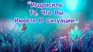 ✅То, Что Вы имееете В Данный Момент…Инсайт 45/ЭкзоПсихология/Безтаро/🕵️‍♀️Допы👇