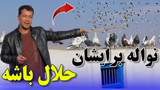 بازهم مثل همیشه خوب کفتر بازی کردیم عالی بود /072Afghan Shawqi