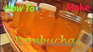 How to Make Kombucha | DIY