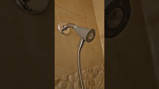 BEST Handheld Showerhead        moen magnetix Handheld Shower head