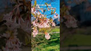 Весна г. Телч || Spring || Jaro Telč  28.3.2024