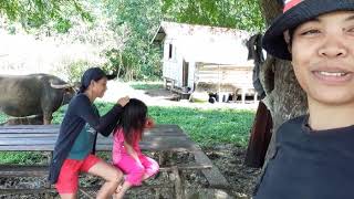 UNDER THE BIG TAMARIND TREE / A VERY NICE PLACE TO RELAX / FRESH AIR / PROVINCE LIFE