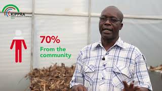 Ripe for Change: The Sabatia Banana Farmers' Value Addition Story