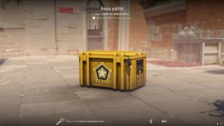 DAY 315 OPENING CS2 CASES UNTIL I GET GOLD!