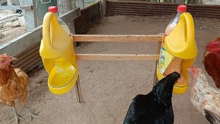 How to make chicken feed tray with Coca-Cola bottle and dish soap dish