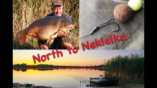 North to Nekielka