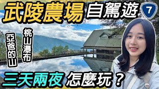 武陵農場自駕遊！三天兩夜台七甲線之旅｜亞爸的山、桃山瀑布、雪山登山口、牛頭司體驗農場、武陵茶莊、武陵四秀