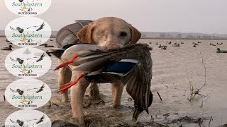 Arkansas Waterfowl Hunting - PopaDuck St Charles, AR - Jan 30, 2021