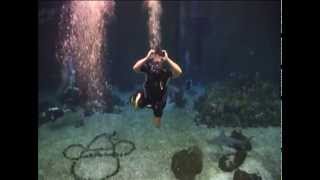 Diving at Disney Epcot DiveQuest - 2014