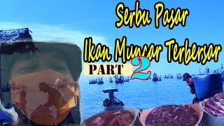 Serbu Pasar Ikan Muncar Terbersar Untuk Acara BBQ part 2