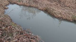 Oxbow Lake (or Oxbow Pond)