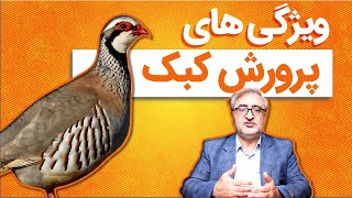 ویژگی های پرورش کبک Characteristics of Partridge farming.