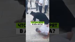 Что они творят в мечети Аль-Акса? #АльАкса #Палестина #Газа #news