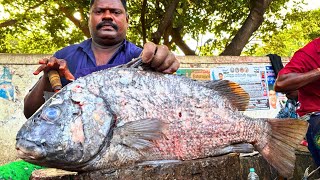 KASIMEDU SPEED SELVAM FISH CUTTING VIDEO / cutting focus