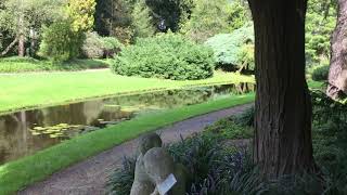 Traveller: The Netherlands, Rotterdam, Trompenburg gardens and arboretum