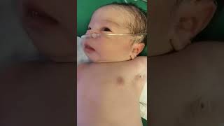 just born baby looking sooocuteee #viral shorts#plz subcribe#