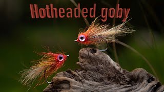 Fluebinding, Kystflue: Hotheaded Goby