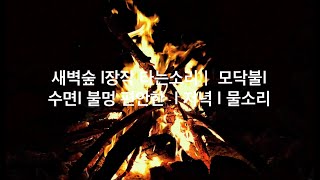 [광고없는] 8시간 연속 l v수면, 저녁 숲 장작 타는소리, 수면, 모닥불, 불멍