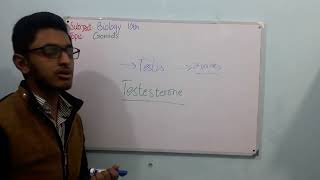 biology 10th chapter 12 coordination and control topic Gonads