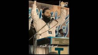 Allama Saad Hussain Rizvi/ Janam murshid SHR #allamasaadhussainrizvi #shr