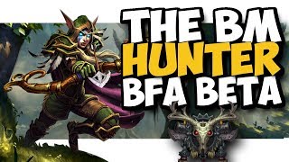 BM HUNTERS CHANGES IN BATTLE FOR AZEROTH BETA!! World of warcraft BFA