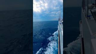 Sea View From SuperYacht❗️🛥⚓️ #yacht #summer #lifestyle #sea #boat #italy #luxury #ocean #vibes